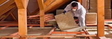 Best Eco-Friendly or Green Insulation Solutions  in Wagener, SC