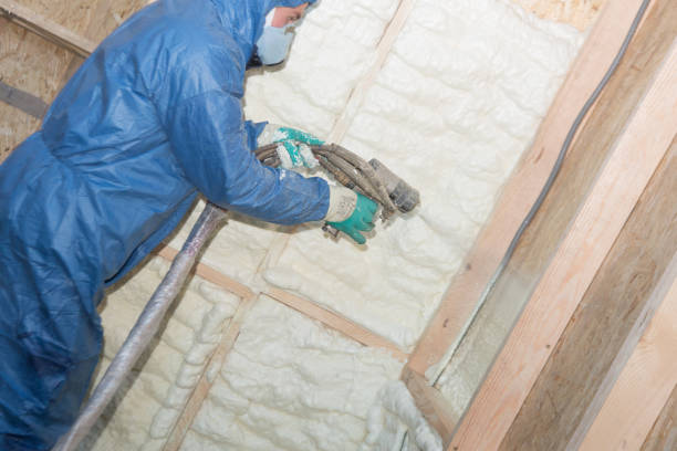 Professional Foam Insulation Services in Wagener, SC