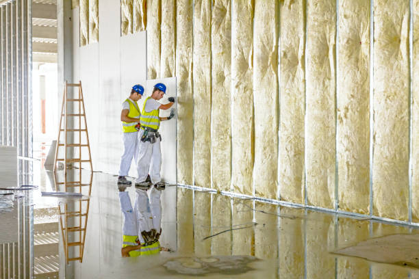 Best Commercial Insulation Services  in Wagener, SC